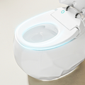 Egg Shaped Water Closet Ceramic Electric Intelligent Toilet Automatic Flush Remote Control White Smart Toilet